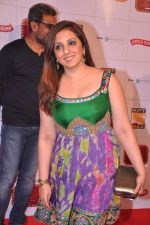 Munisha Khatwani at Stardust Awards 2013 red carpet in Mumbai on 26th jan 2013 (503).JPG